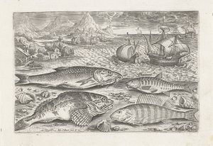 Vier Fische am Strand von Adriaen Collaert