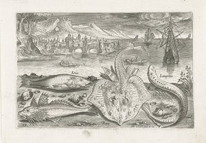 Vier Fische am Strand von Adriaen Collaert