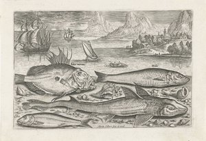 Vier Fische am Strand Fische (Serientitel) Piscivm vivae icones (Serientitel) von Adriaen Collaert