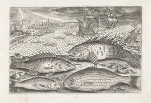 Vier Fische am Strand von Adriaen Collaert