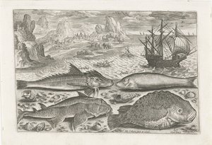 Vier Fische am Strand von Adriaen Collaert