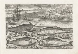 Vier Fische am Strand von Adriaen Collaert