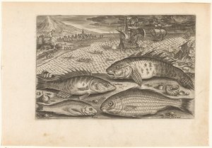 Vier Fische am Strand von Adriaen Collaert