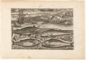 Vier Fische am Strand von Adriaen Collaert