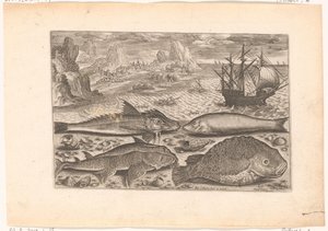 Vier Fische am Strand von Adriaen Collaert