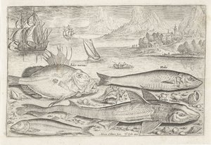Vier Fische am Strand
Fische (Serientitel)
Piscivm vivae icones (Serientitel) von Adriaen Collaert