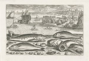 Fünf Fische am Strand von Adriaen Collaert