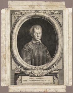 Cosimo I von Adriaen Haelwegh