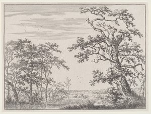 Landschaft mit einem Bach und einem alten Baum