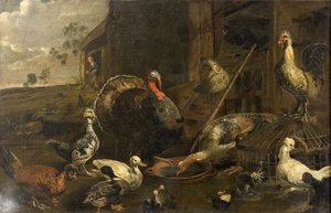 Hühner, Enten und ein Truthahn