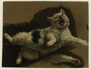 Kat liegend auf dem Rücken und Pfote locker von Adriaen van de Velde (attributed to)