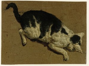 Katze schaut von einer Erhöhung nach unten von Adriaen van de Velde (attributed to)