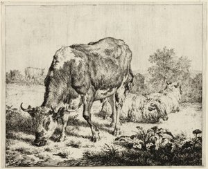 Eine Kuh und drei Schafe von Adriaen van de Velde