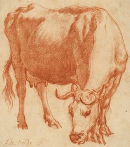 Eine Kuh beim Grasen, ca. 1663
