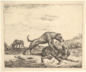 Kämpfende Hunde, aus Verschiedene Tiere