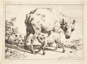 Schafe und zwei Lämmer von Adriaen van de Velde