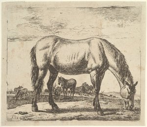 Weidendes Pferd, aus Verschiedene Tiere von Adriaen van de Velde