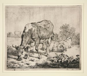 Le Boeuf Pie et les trois moutons von Adriaen van de Velde