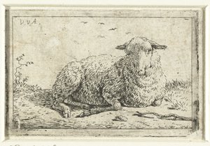Liegendes Schaf