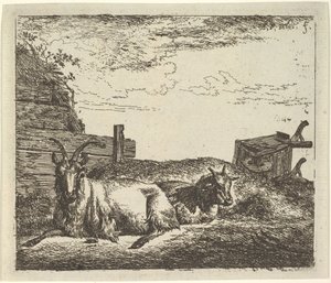 Liegende Ziegen, aus Verschiedene Tiere von Adriaen van de Velde