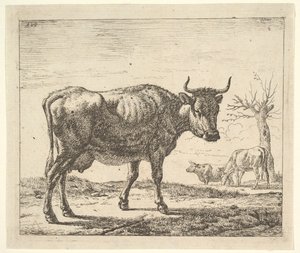 Drei Kühe, aus Verschiedene Tiere