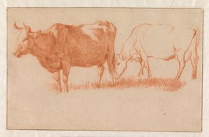 Zwei Kühe von Adriaen van de Velde