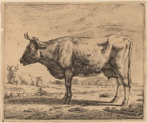 Zwei Kühe und ein Schaf
