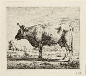 Zwei Kühe und ein Schaf von Adriaen van de Velde