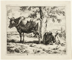 Zwei Kühe unter einem Baum von Adriaen van de Velde