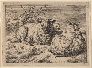 Zwei liegende Schafe von Adriaen van de Velde