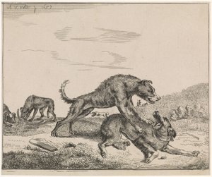Kämpfende Hunde (Serientitel: Vieh)