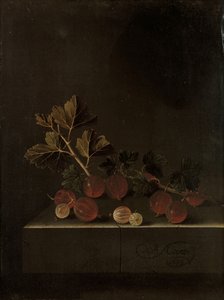 Ein Zweig Stachelbeeren auf einem Steinpostament, 1699 von Adrian Coorte