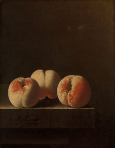 Drei Pfirsiche auf einem Steinsockel, 1705