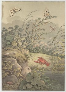 Wasserstück mit Krabbe, Schmetterlingen, Libellen und Sanddorn von Adrian Zingg