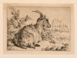 Eine Ziege von Adrian van de Velde