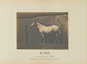 Bijou von Adrien Alban Tournachon
