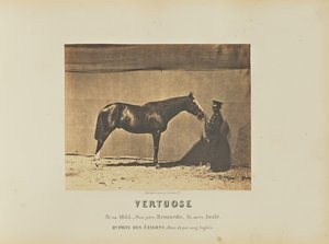 Virtuose von Adrien Alban Tournachon