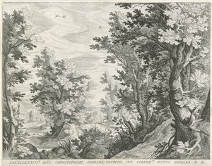 Waldlandschaft