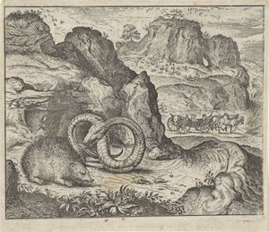 Fabel vom Igel und der Schlange von Egidius  Sadeler (II)