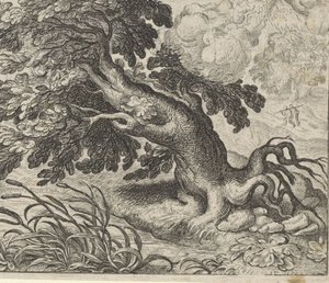 Fabel von der Esche und dem Schilfrohr von Egidius  Sadeler (II)
