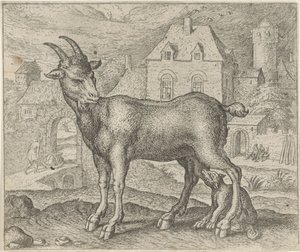 Fabel von der Ziege und dem jungen Wolf von Egidius  Sadeler (II)