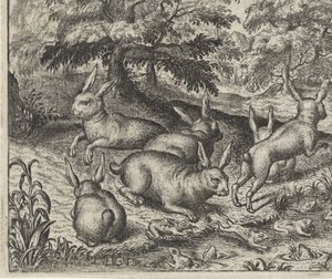 Fabel von den Hasen und den Fröschen von Egidius  Sadeler (II)