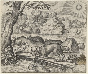 Fabel vom Hund und seinem Spiegelbild