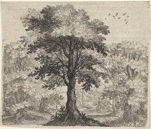 Fabel von der Ulme und der Eiche von Egidius  Sadeler (II)