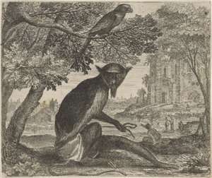 Fabel von dem Papagei und dem Affen