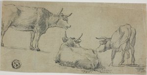 Drei Skizzen von Kühen von Aelbert Cuyp