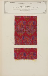 Gemustertes Seidenstoffmuster aus Herat, aus The Collection of the Textile Manufacturers of India, von John Forbes Watson, veröffentlicht 1866 von Afghan School