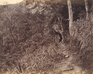 Linker Weg zum Yuen-Foo-Kloster, ca. 1869 von Afong Lai