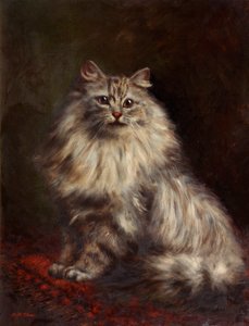 Perserkatze, um 1908-20 von Agnes Augusta Talboys