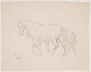 Zu Pferd von Agnes Lunn